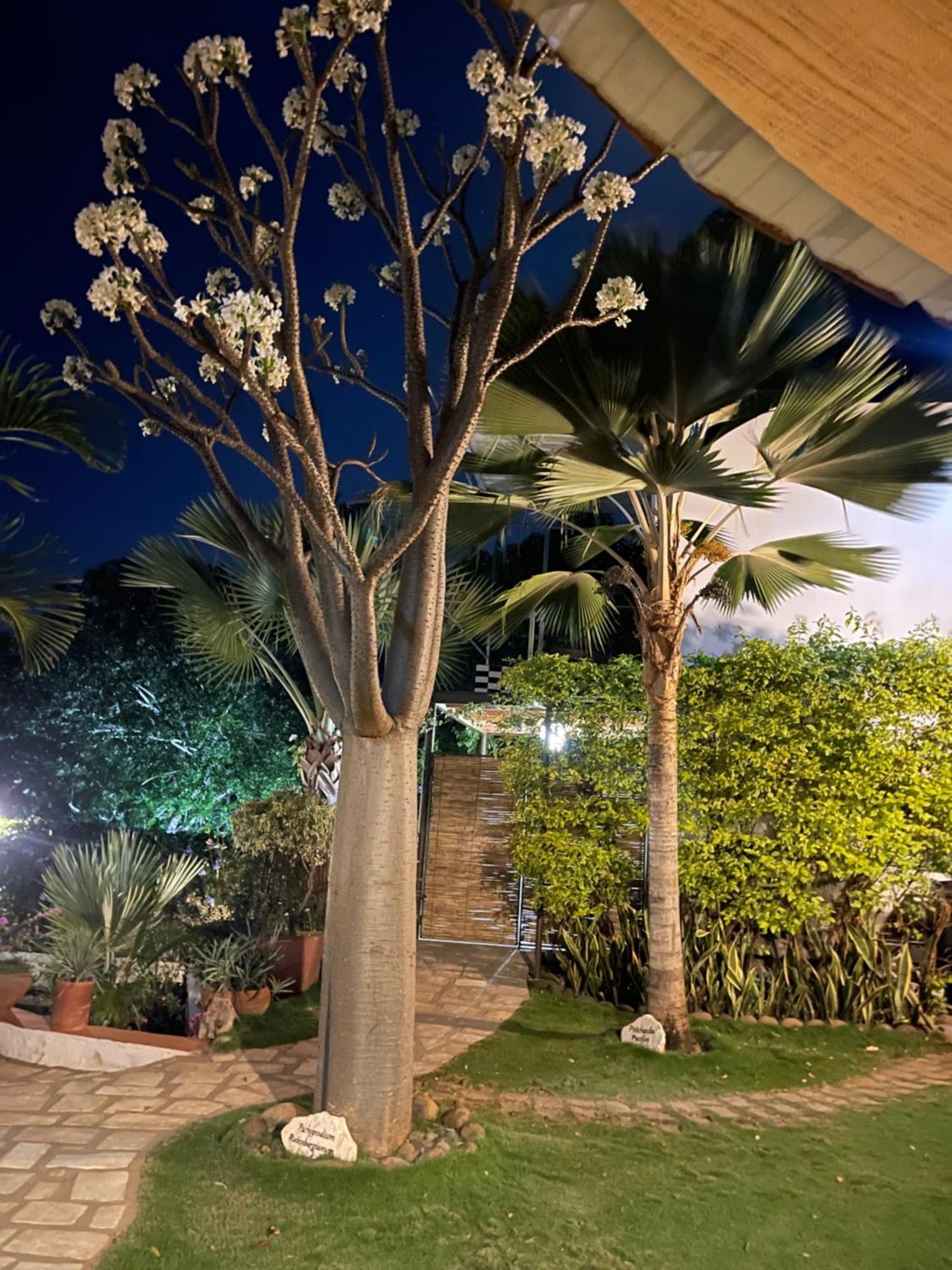 Le Jardin Exotique Hotel Antsiranana Exterior photo