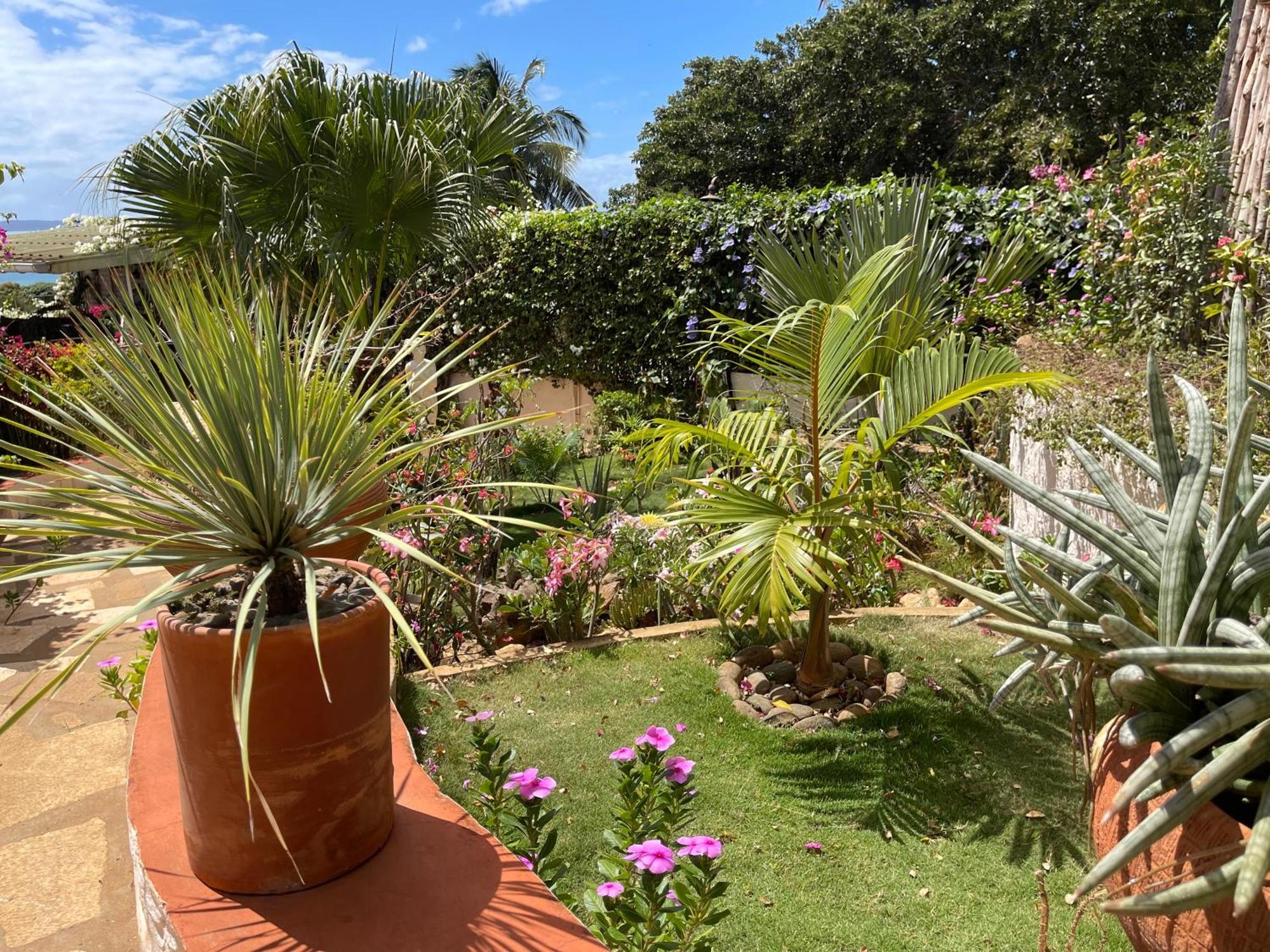 Le Jardin Exotique Hotel Antsiranana Exterior photo