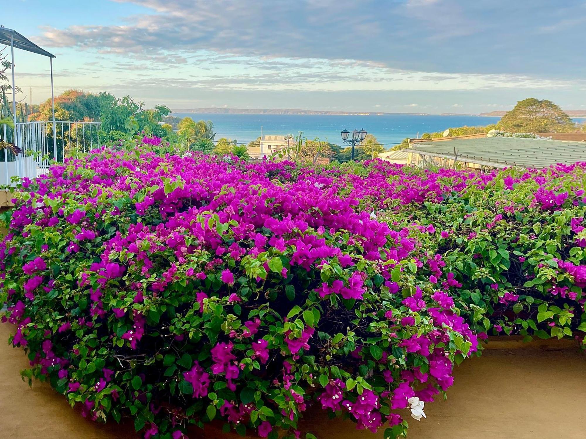 Le Jardin Exotique Hotel Antsiranana Exterior photo