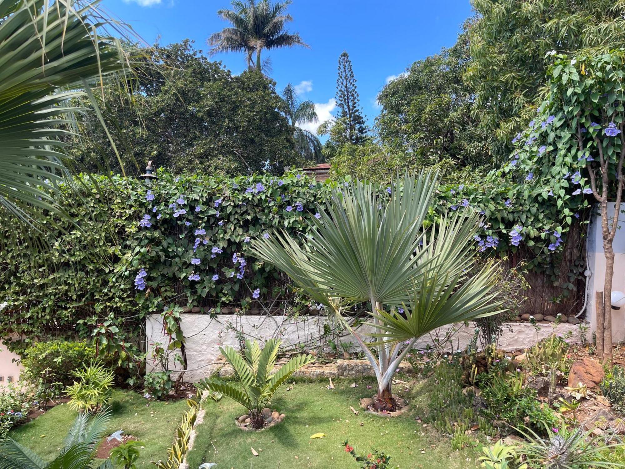 Le Jardin Exotique Hotel Antsiranana Exterior photo