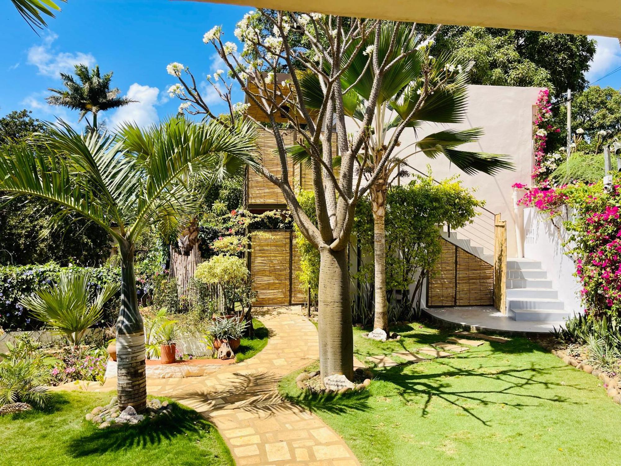Le Jardin Exotique Hotel Antsiranana Exterior photo